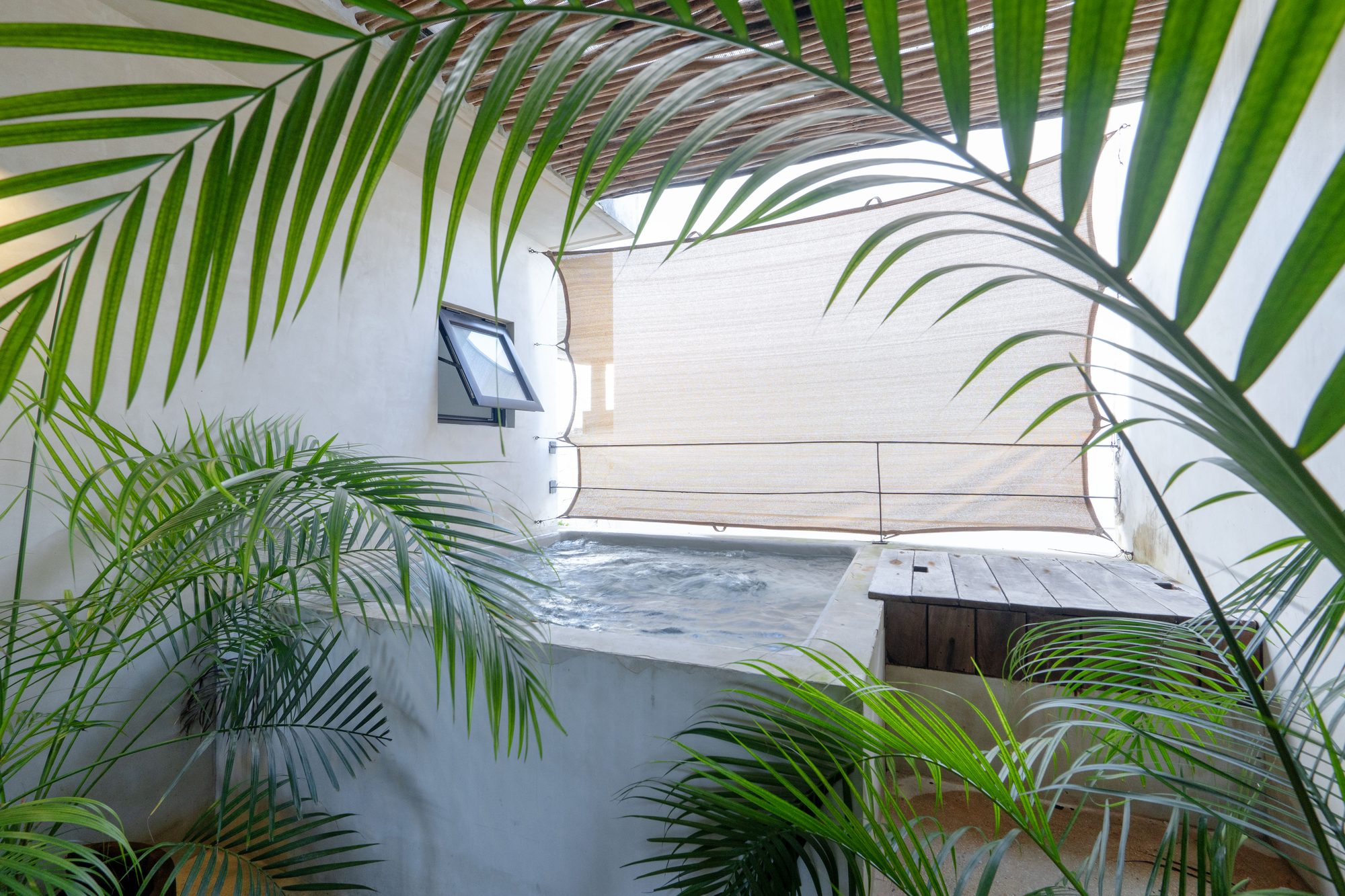 Pool on a terrace with palm fronds overhead