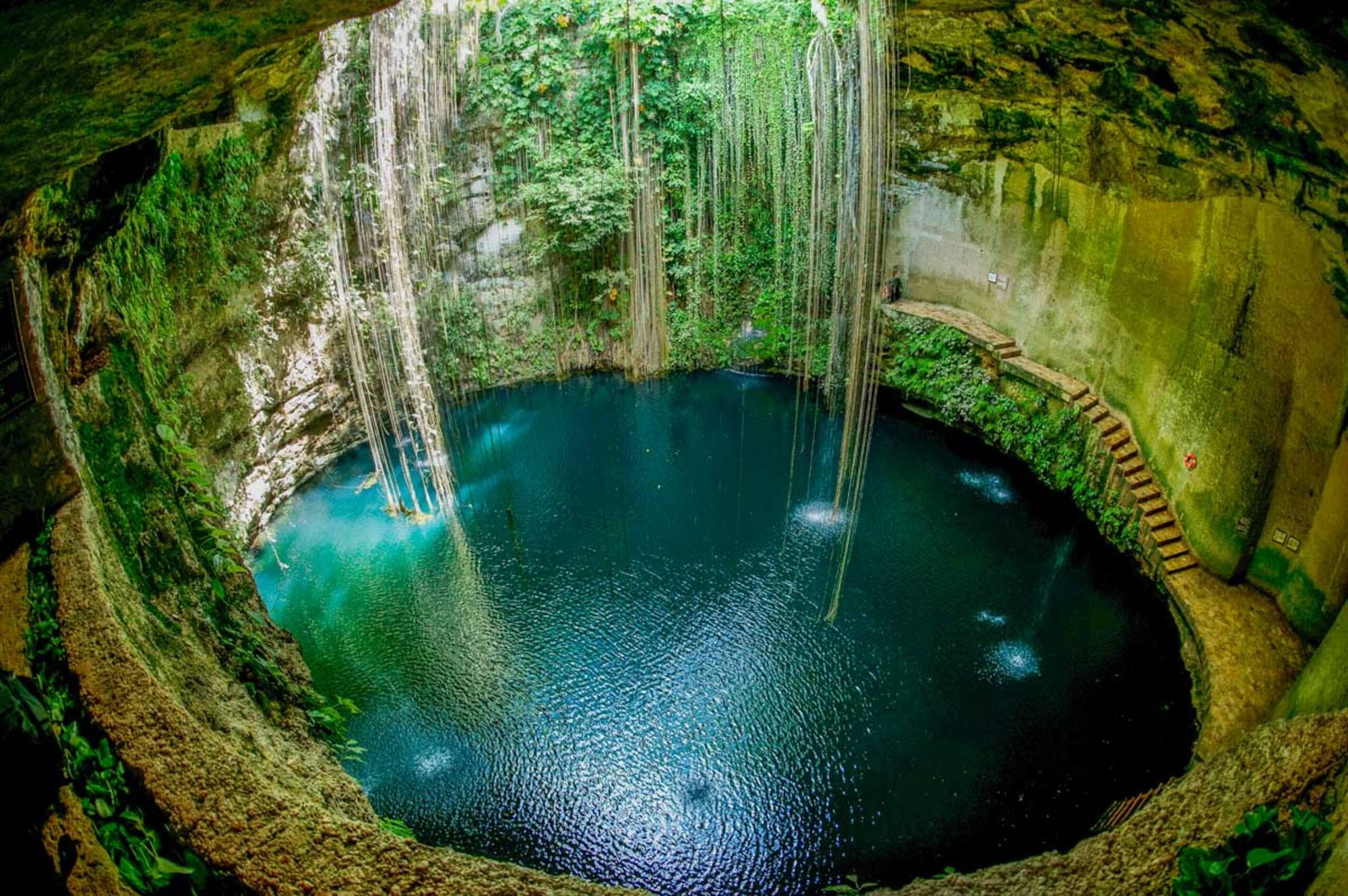 Cenote with clear water and hanging roots