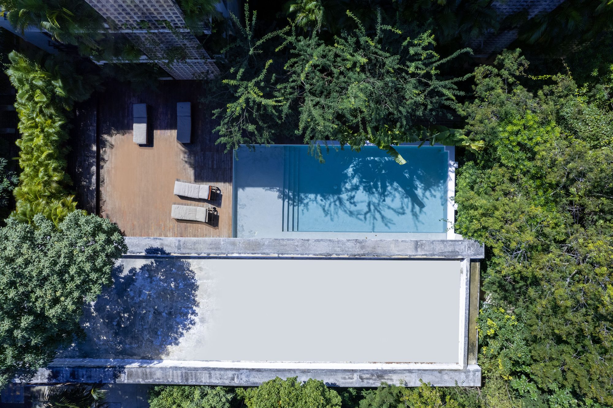 Aerial view of the pool and decking surrounded by trees