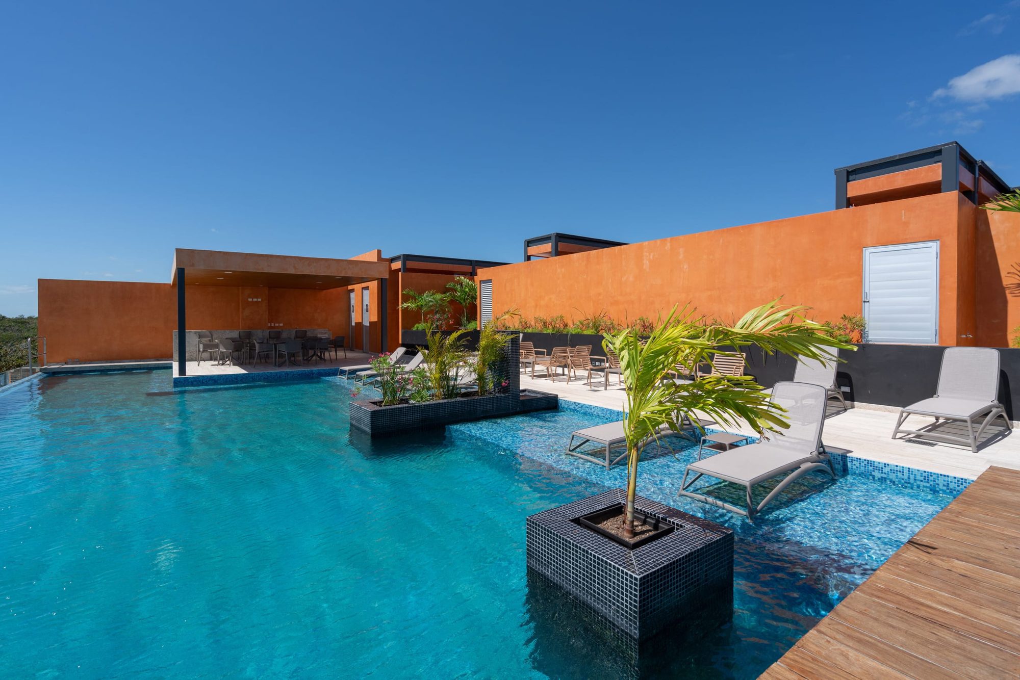 Rooftop pool with palms in planters and a covered lounge