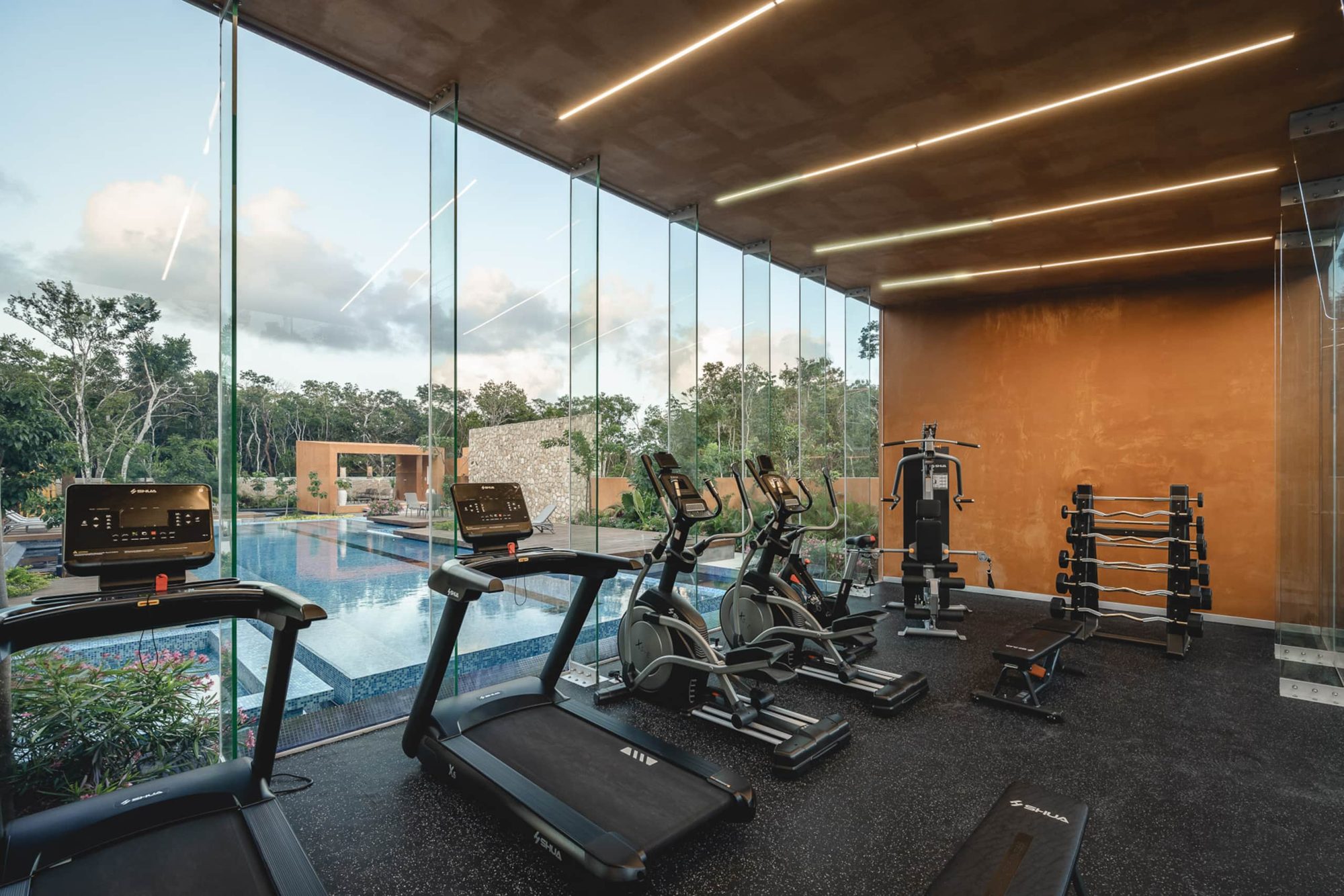 Glass-walled gym with weights and cardio machines